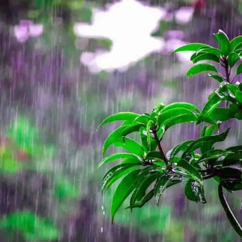 صور-امطار-hd-4