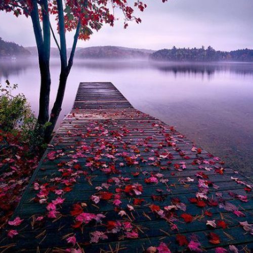 صور-طبيعه