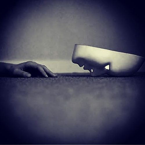 40429998023728177802347291993513918_