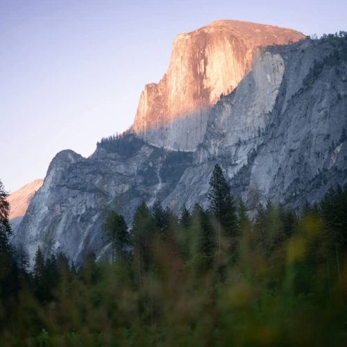 IMG-20240709-WA0004