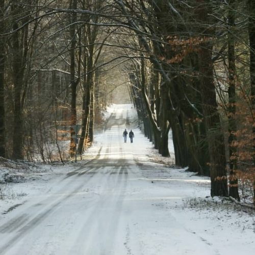 IMG-20240724-WA0003