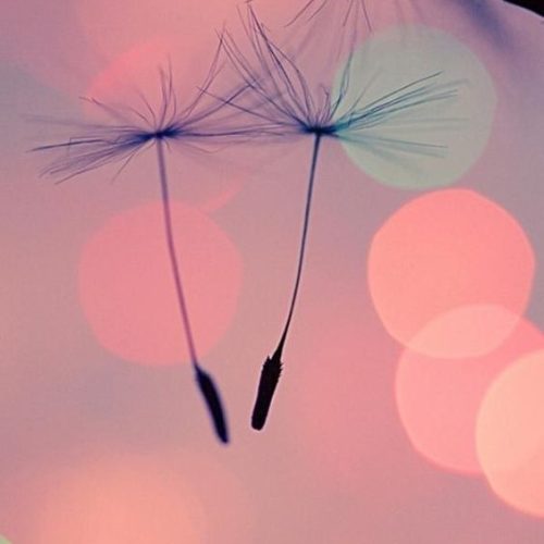 a03a1f8743e92684c0ab9d3c3a5a9670