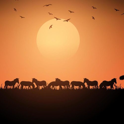 african-savanna-animals-at-sunset-silhouettes-of-wild-animals-of-the-african-savannah-vector