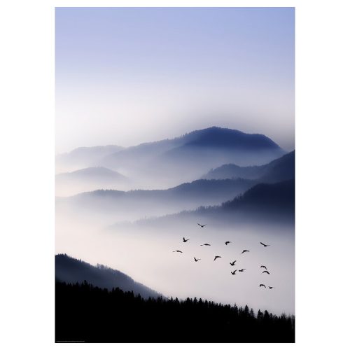 katebo-irudia-hegan-egin__0977934_pe813949_s5