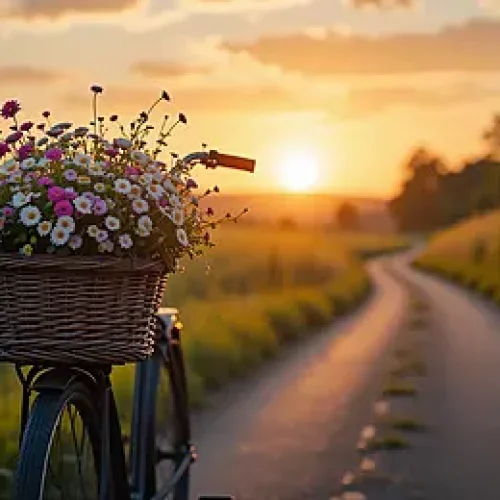 pngtree-bicycle-with-a-basket-full-of-flowers-on-country-road-at-image_19746074 (1)