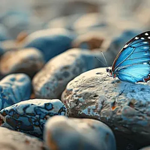 pngtree-blue-butterfly-perched-on-a-smooth-stone-surrounded-by-scattered-pebbles-image_17610352