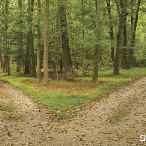 www-St-Takla-org--Two-Roads-01